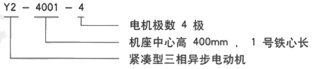 YR系列(H355-1000)高压Y5603-12/630KW三相异步电机西安西玛电机型号说明